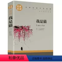 我是猫 [正版]5本25元三个火枪手原著 大仲马著 名家名译世界文学名著青少年版 小学初中生课外阅读书籍 8090童年回