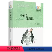 小布头奇遇记 [正版] 寄小读者 冰心系列儿童文学百年百部书系10-12岁四五六年级小学生课外阅读书籍 再寄三寄小读者