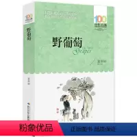 野葡萄 [正版] 寄小读者 冰心系列儿童文学百年百部书系10-12岁四五六年级小学生课外阅读书籍 再寄三寄小读者 长江少