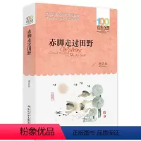 赤脚走过田野 [正版] 寄小读者 冰心系列儿童文学百年百部书系10-12岁四五六年级小学生课外阅读书籍 再寄三寄小读者