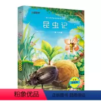 昆虫记[大开本注音] [正版]格林童话全集原版一年级注音版 二年级上册三年级必读课外书小学生阅读书籍下册儿童故事书绘本幼