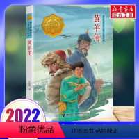 黄羊角 [正版]2022山东暑期三年级阅读书单 母亲的味道胡萝卜先生的长胡子阿信坐在云彩上丑虎羊儿在云朵里跑镶边黄羊角出