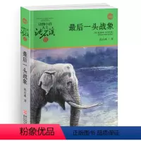 最后一头战象 [正版]混血豺王沈石溪小学四年级五年级全集全套书浙江少年儿童出版社非注音版完整版动物小说大王品藏书系小学生