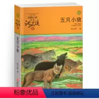 五只小狼 [正版]混血豺王沈石溪小学四年级五年级全集全套书浙江少年儿童出版社非注音版完整版动物小说大王品藏书系小学生课外