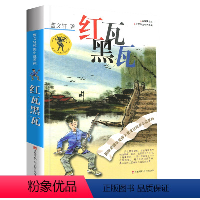 红瓦黑瓦 [正版]完整版蜻蜓眼曹文轩系列原著纯美小说三4四5五六年级必读阅读江苏少儿出版社儿童文学的经典图书籍根鸟全套小