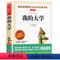 我的大学 [正版]同系苏东坡传 作品原版苏轼传书 国学大师林语堂著 名人人物传记 历史名臣传 名人传书苏轼传记名人传记小