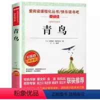 青鸟 [正版]同系苏东坡传 作品原版苏轼传书 国学大师林语堂著 名人人物传记 历史名臣传 名人传书苏轼传记名人传记小学生