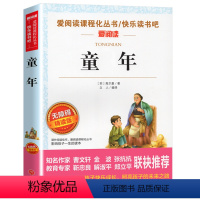 童年 [正版]同系苏东坡传 作品原版苏轼传书 国学大师林语堂著 名人人物传记 历史名臣传 名人传书苏轼传记名人传记小学生