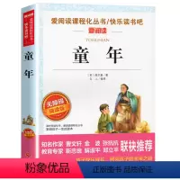 童年 [正版]同系苏东坡传 作品原版苏轼传书 国学大师林语堂著 名人人物传记 历史名臣传 名人传书苏轼传记名人传记小学生
