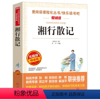 湘行散记 [正版]同系苏东坡传 作品原版苏轼传书 国学大师林语堂著 名人人物传记 历史名臣传 名人传书苏轼传记名人传记小