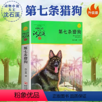 第七条猎狗 [正版]沈石溪动物小说品藏书系列 全集36册 狼王梦斑羚飞渡第七条猎狗后一头战象雪豹悲歌混血豺王珍藏版十大经