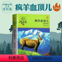 疯羊血顶儿 [正版]沈石溪动物小说品藏书系列 全集36册 狼王梦斑羚飞渡第七条猎狗后一头战象雪豹悲歌混血豺王珍藏版十大经