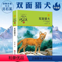 双面猎犬 [正版]沈石溪动物小说品藏书系列 全集36册 狼王梦斑羚飞渡第七条猎狗后一头战象雪豹悲歌混血豺王珍藏版十大经典