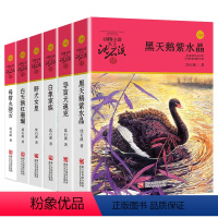 沈石溪动物小说[红色辑共6册] [正版]沈石溪动物小说品藏书系列 全集36册 狼王梦斑羚飞渡第七条猎狗后一头战象雪豹悲歌