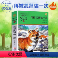 再被狐狸骗一次 [正版]沈石溪动物小说品藏书系列 全集36册 狼王梦斑羚飞渡第七条猎狗后一头战象雪豹悲歌混血豺王珍藏版十