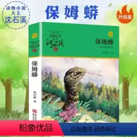 保姆蟒 [正版]沈石溪动物小说品藏书系列 全集36册 狼王梦斑羚飞渡第七条猎狗后一头战象雪豹悲歌混血豺王珍藏版十大经典必