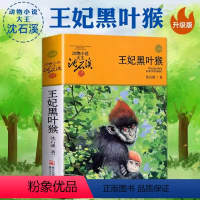 王妃黑叶猴 [正版]沈石溪动物小说品藏书系列 全集36册 狼王梦斑羚飞渡第七条猎狗后一头战象雪豹悲歌混血豺王珍藏版十大经