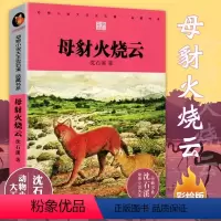 母豺火烧云 [正版]沈石溪动物小说品藏书系列 全集36册 狼王梦斑羚飞渡第七条猎狗后一头战象雪豹悲歌混血豺王珍藏版十大经