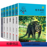 沈石溪动物小说[蓝色辑共6册] [正版]沈石溪动物小说品藏书系列 全集36册 狼王梦斑羚飞渡第七条猎狗后一头战象雪豹悲歌