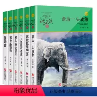 沈石溪动物小说[深绿辑共6册] [正版]沈石溪动物小说品藏书系列 全集36册 狼王梦斑羚飞渡第七条猎狗后一头战象雪豹悲歌