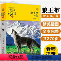 狼王梦 [正版]沈石溪动物小说品藏书系列 全集36册 狼王梦斑羚飞渡第七条猎狗后一头战象雪豹悲歌混血豺王珍藏版十大经典必