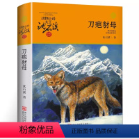 刀疤豺母 [正版]沈石溪动物小说品藏书系列 全集36册 狼王梦斑羚飞渡第七条猎狗后一头战象雪豹悲歌混血豺王珍藏版十大经典