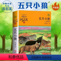 五只小狼 [正版]沈石溪动物小说品藏书系列 全集36册 狼王梦斑羚飞渡第七条猎狗后一头战象雪豹悲歌混血豺王珍藏版十大经典