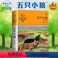 五只小狼 [正版]沈石溪动物小说品藏书系列 全集36册 狼王梦斑羚飞渡第七条猎狗后一头战象雪豹悲歌混血豺王珍藏版十大经典