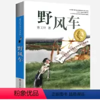 野风车 [正版]曹文轩纯美小说系列全套四五年级儿童文学草房子狗牙雨青铜葵花山羊不吃天堂草野风车细米马戏团红瓦黑瓦根鸟原著