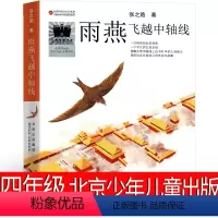 雨燕飞越中轴线 [正版]爱:外婆和我四年级课外书殷健灵著新蕾出版社雨燕飞越中轴线 总有一天会强大 陈土豆的红灯笼 我是一