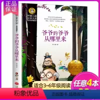 爷爷的爷爷从哪里来 [正版] 假话国历险记 国际大奖儿童文学小说故事书彩图版小学生三四五六年级课外阅读书籍7-9-10-