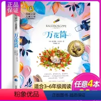 万花筒 [正版] 假话国历险记 国际大奖儿童文学小说故事书彩图版小学生三四五六年级课外阅读书籍7-9-10-12岁儿童读