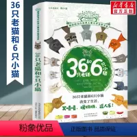 36只老猫和6只小猫 [正版]动物远征队全套33册任选 摆渡船当代世界儿童文学金奖书系 稻草人和他的仆人小学生三年级四年