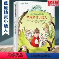 草原精灵小矮人 [正版]动物远征队全套33册任选 摆渡船当代世界儿童文学金奖书系 稻草人和他的仆人小学生三年级四年级五六