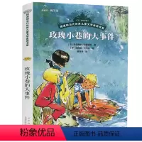 玫瑰小巷的大事件 [正版]动物远征队全套33册任选 摆渡船当代世界儿童文学金奖书系 稻草人和他的仆人小学生三年级四年级五