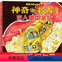 神奇校车 一年级绘本 [正版]一年级鲜事多 君伟上小学王淑芳著赖马绘本小学生课外书君君上小学读物6-7-8-10岁少儿书
