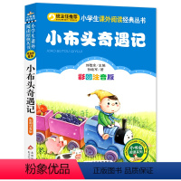 小布头奇遇记 [正版]小布头奇遇记注音彩图版孙幼军著小学生课外阅读书籍一年级二年级课外书儿童读物6-7-8岁故事书暑假寒