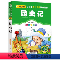 昆虫记 [正版]小布头奇遇记注音彩图版孙幼军著小学生课外阅读书籍一年级二年级课外书儿童读物6-7-8岁故事书暑假寒假阅读