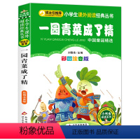 一园青菜成了精 [正版]小布头奇遇记注音彩图版孙幼军著小学生课外阅读书籍一年级二年级课外书儿童读物6-7-8岁故事书暑假