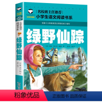 绿野仙踪 [正版]5本25元名校班主任中国神话故事彩图注音版名校班主任小学生语文阅读书系一二三年级儿童读物6-12岁课外