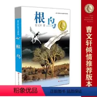 根鸟 [正版]书籍草房子 曹文轩纯美小说系列 青铜葵花天黑了细米野风车红瓦黑瓦山羊不吃天堂草三四五六年级小学生课外阅读书