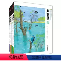 森林报全4册 彩色注音版 [正版]森林报秋春夏冬全套四册 彩色注音版小学生二三四五六年级课外阅读书籍儿童文学课外书图书童