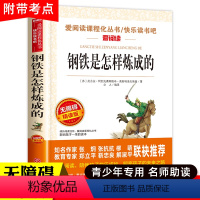 钢铁是怎样炼成的 [正版]木偶奇遇记三年级四年级课外阅读书籍老师 小学生课外书必读经典名著 儿童故事书适合看的童话完整版