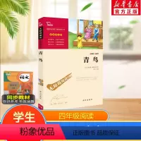 青鸟 [正版]青鸟书四年级课外书儿童文学美绘典藏版小说6-10-12岁三五六年级小学生阅读书籍经典名著智慧熊书目世界名著