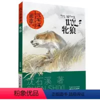 牝狼 [正版]沈石溪系列画本中外动物小说大王经典品藏书系列后一头战象斑羚飞渡第七条猎狗红奶羊白象家族小学生四五六年级老师