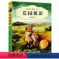 荒原狐影 [正版]沈石溪系列画本中外动物小说大王经典品藏书系列后一头战象斑羚飞渡第七条猎狗红奶羊白象家族小学生四五六年级