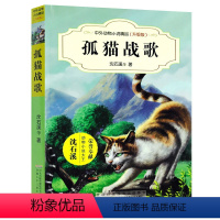 孤猫战歌 [正版]沈石溪系列画本中外动物小说大王经典品藏书系列后一头战象斑羚飞渡第七条猎狗红奶羊白象家族小学生四五六年级