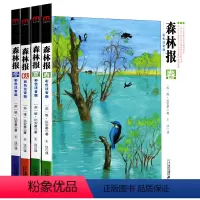 森林报全4册 彩色注音版 [正版]森林报彩色注音版春夏秋冬全四册 大自然四季变化儿童故事绘本比安基 一二三四五年级上下册