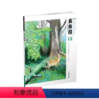 森林报 夏 彩色注音版 [正版]森林报彩色注音版春夏秋冬全四册 大自然四季变化儿童故事绘本比安基 一二三四五年级上下册小