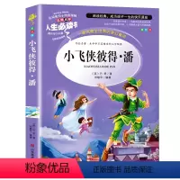 小飞侠彼得潘 [正版]金银岛书 史蒂文森原著 世界经典名著小学生三四五六年级必读课外阅读书籍故事人民青少年儿童版文学读物